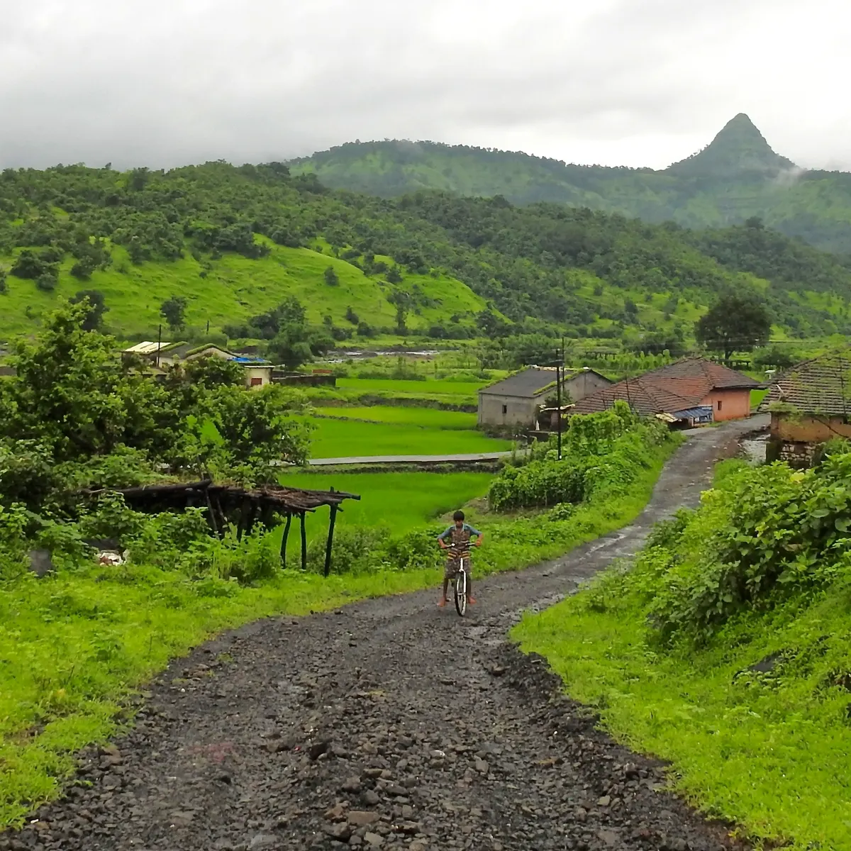 Why an Indian village celebrates the life of a little-known Irish actress each year