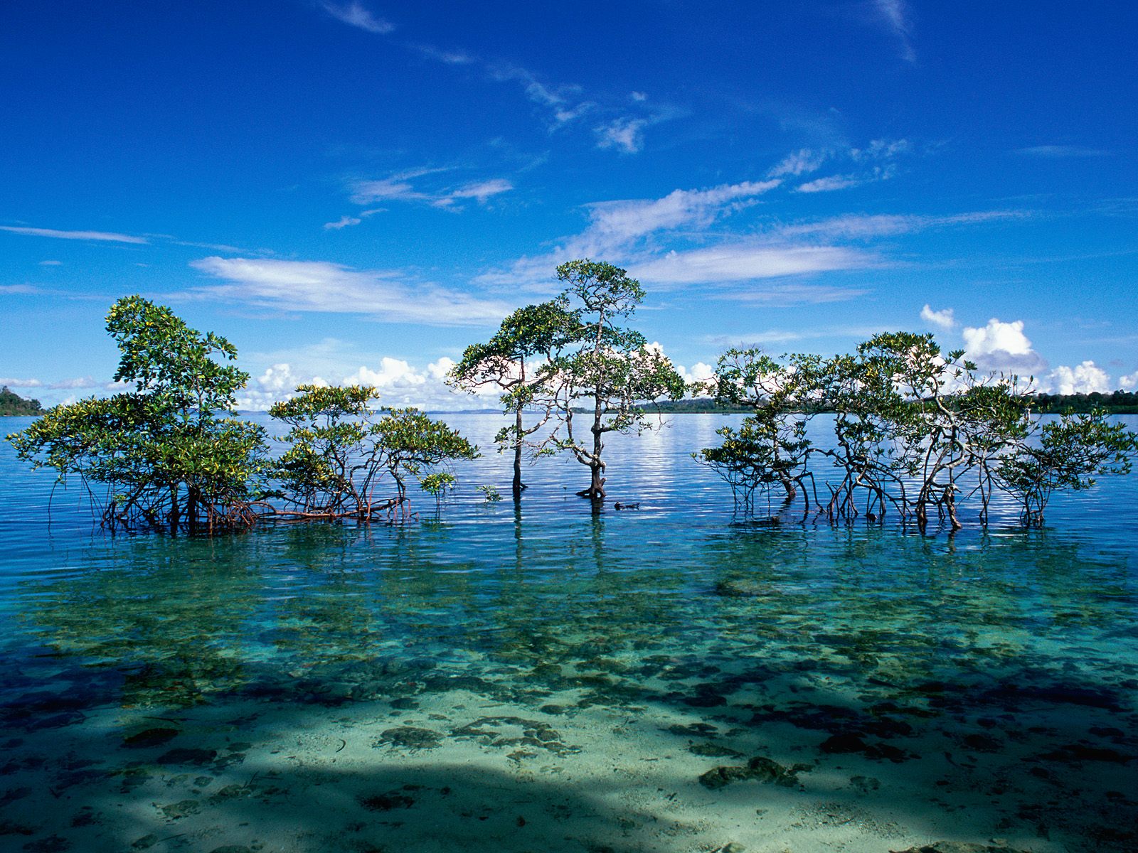 A first-timer’s guide to India’s Andaman Islands