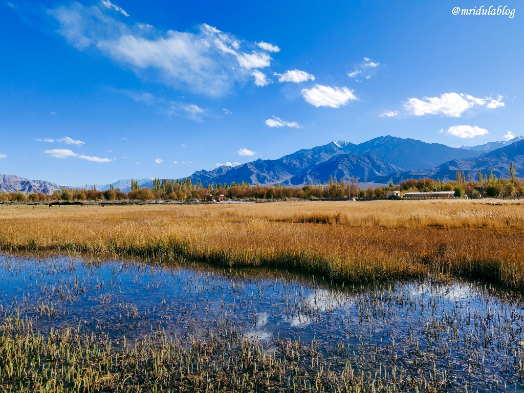 Fall Colors in Ladakh